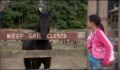 dr dolittle 3-avi_848.jpg